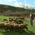 Подстицај за развој пољопривреде