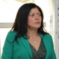 Копитовић: "Каменица два" коштаће 28 милиона евра