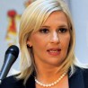 Михајловић о Николићевој критици Владе  
