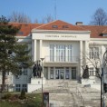 Вождовац, до сада осам изборних листа