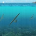 Подводни змајеви производе струју