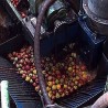 Oбновљена производња у књажевачком Џервину