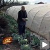 Најтеже је женама на селу   