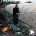 Најтеже је женама на селу   