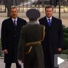 Козачка вештина