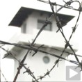 У жици Лагера Ниш