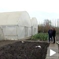 Обука младих за пластеничку производњу