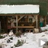 Живот усред Таре