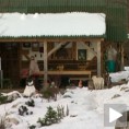 Живот усред Таре