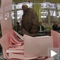 Парламентарни избори (ни)су неопходни