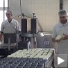 Нови производи у лесковачкој Млекари