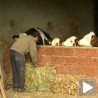 Припреме фармера и млекара за ЕУ