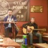 Српско - мађарско уметничко вече
