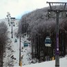 Јануар без снега на Старој планини