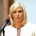 Михајловић: Избори не заустављају рад Владе 