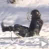 Припреме за Сочи или Кличка?