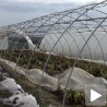 Ветар поломио пластенике 