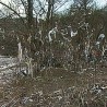 Како смо реке претворили у канализацију