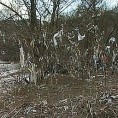 Како смо реке претворили у канализацију