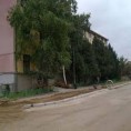 Ученичко насиље у Житковцу