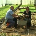 Село познато по пластеничкој производњи