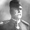Дани Степе Степановића