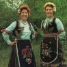 Од злата јабука 