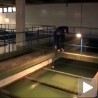 Има микроорганизама, нема опасности