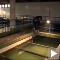 Има микроорганизама, нема опасности