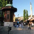 Вукићевић: Стабилност БиХ у интересу Србије