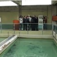 Вода из ужичког водовода безбедна за пиће 