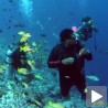 Фестивал подводног филма и фотографије