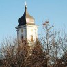 Од злата јабука