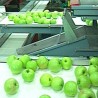 Нова хладњача "Подунавља" 