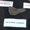 Неолитско Старчево у панчевачком музеју