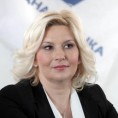 Михајловић: Странке без тапије на пензионере