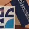 ДСС против линеарног смањивања плата