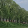 Пироћанци удишу изузетно чист ваздух
