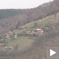 Роде се враћају у Рикачево