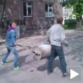 Пољска артиљерија