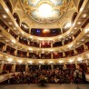 Кон анима