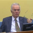 Младићева одбрана најавила 336 сведока