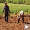 Љубиње, варош дувана и меда