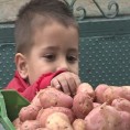 Појефтинили кромпирићи