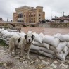 Поплаве у БиХ, оркан у Хрватској, приправност у Словенији
