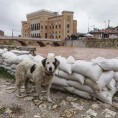 Поплаве у БиХ, оркан у Хрватској, приправност у Словенији