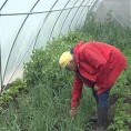 Пластеници за избегличке породице