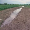 Штете на усевима