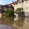 Говори да бих те видео - документарни програм