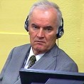 Суђење Младићу, расправа о смрти гардиста